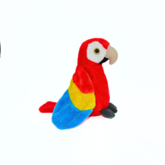 Papagei 